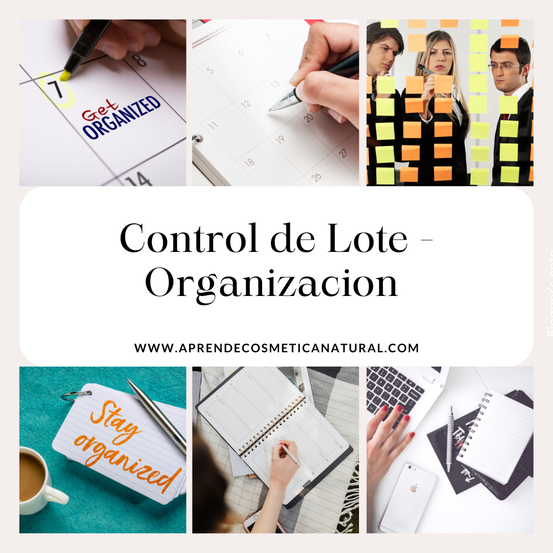 PLANTILLA CONTROL DE LOTE